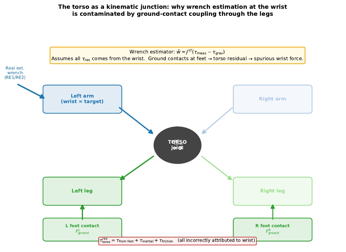 Torso kinematic junction diagram